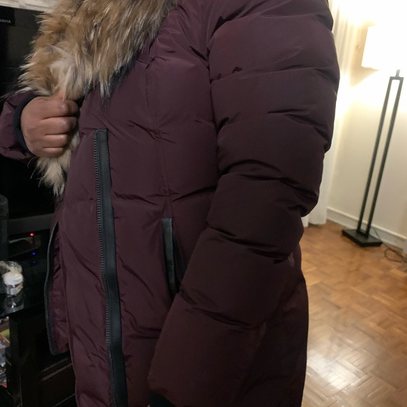 Mackage Adali Coat Size Large in Burgundy - Picture 3 of 6
